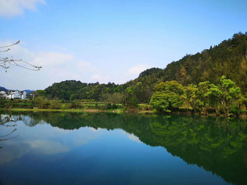 上海房產(chǎn)律師